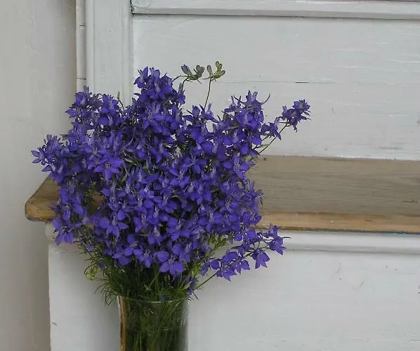 Casa Del Mar Appartement Nerezine